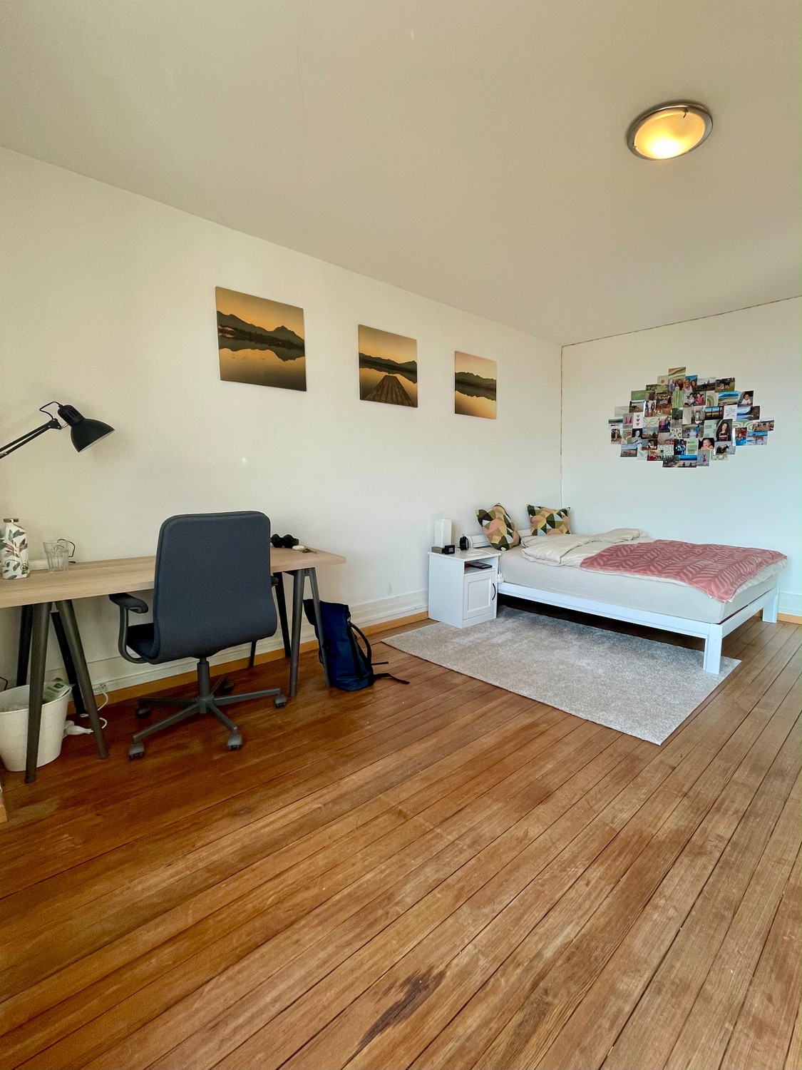 Room in a shared flat