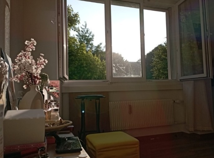 Room in a shared flat
