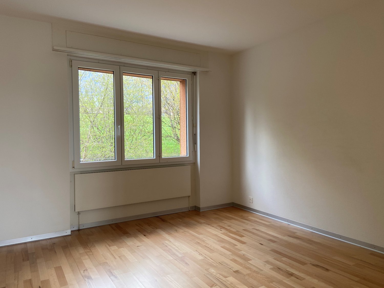 4 ½ rooms apartment, photo 6 of 8