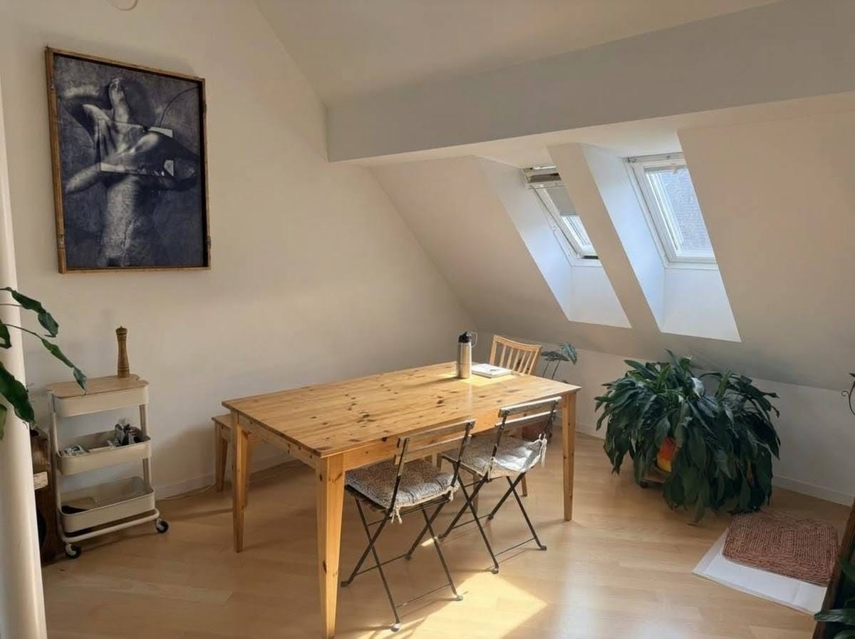 Room in a shared flat