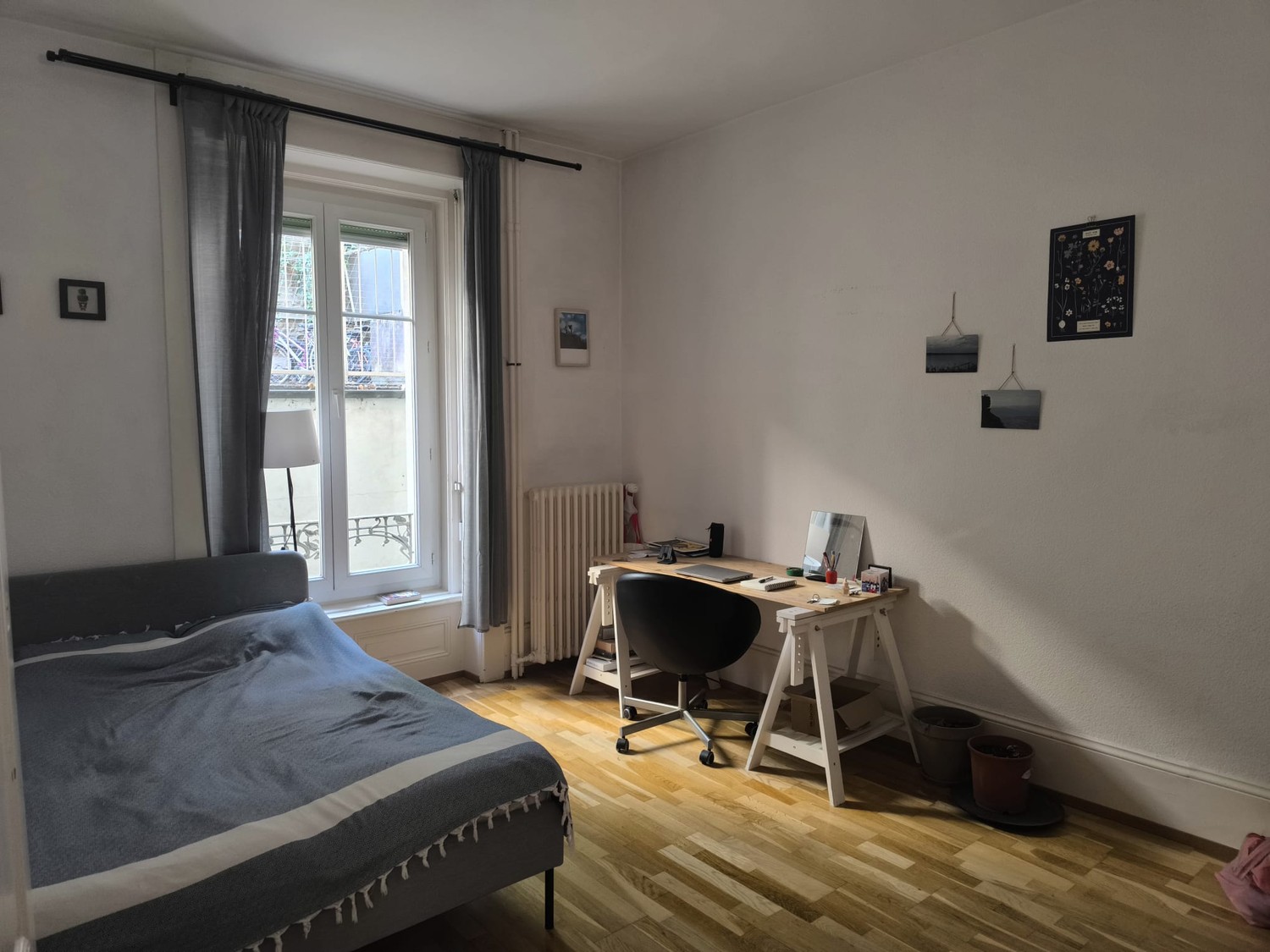 Room in a shared flat
