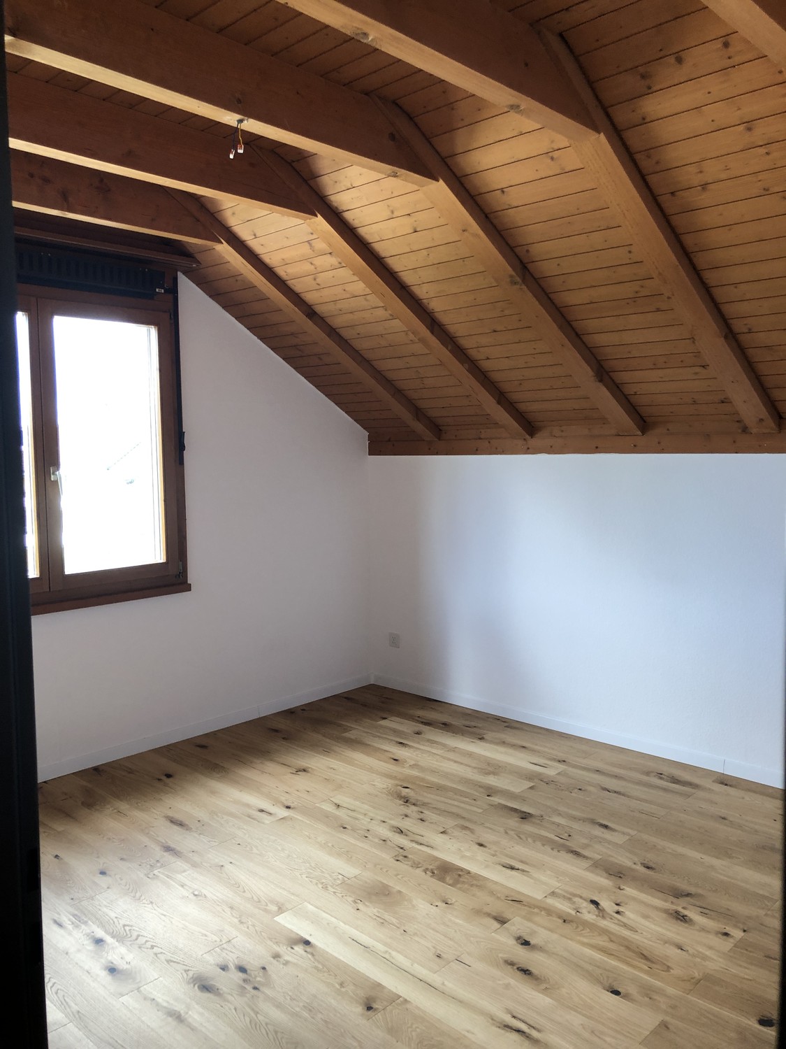 2 ½ rooms apartment, photo 5 sur 10