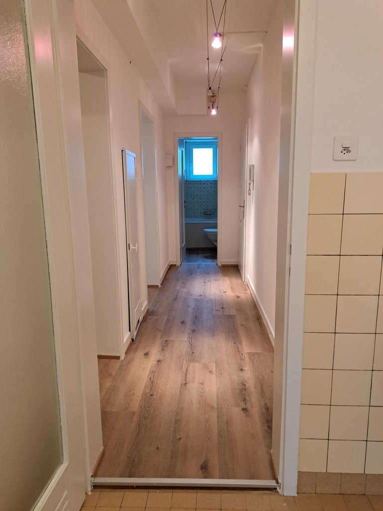appartement 1 pièce