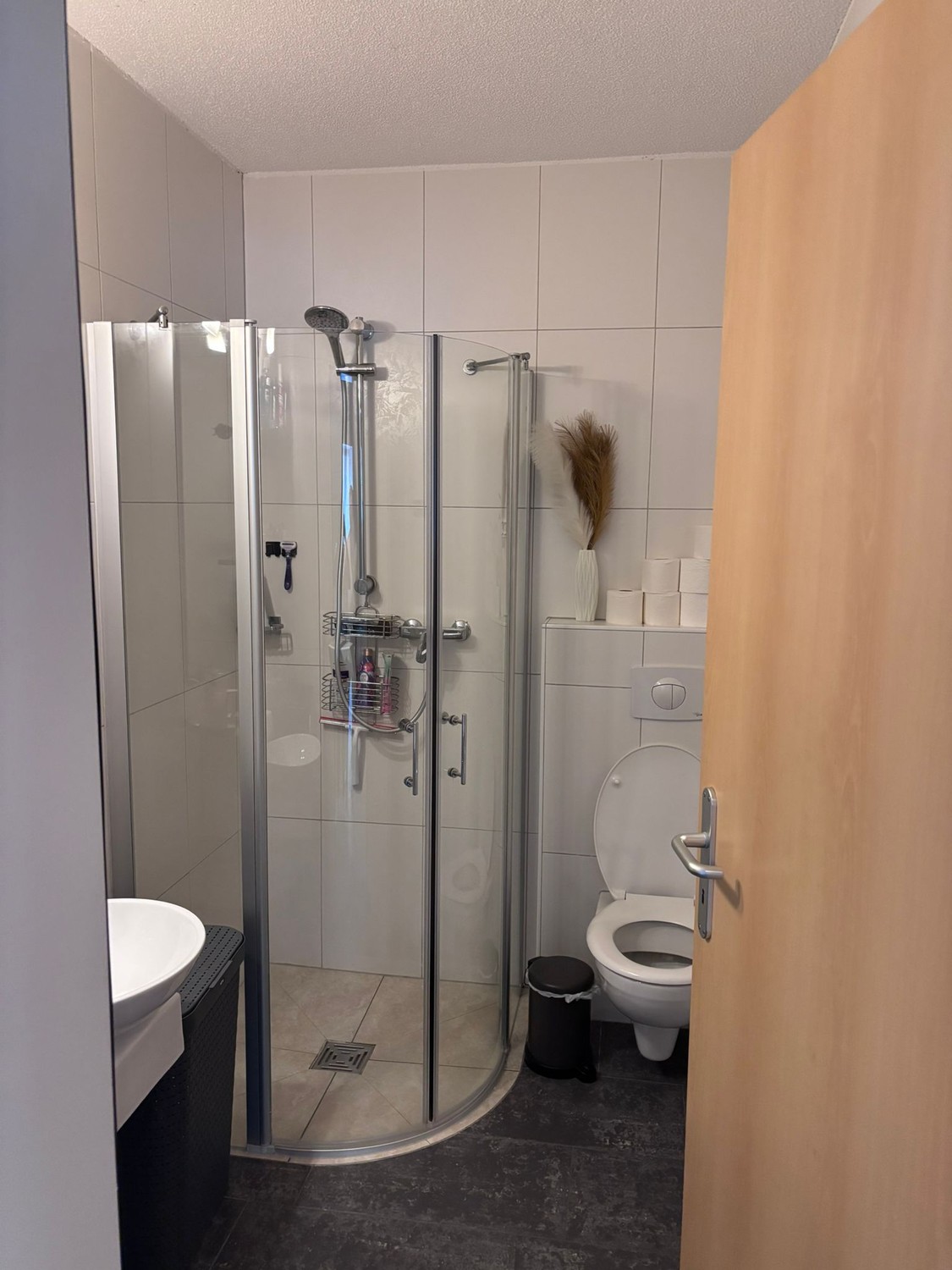 Appartamento di 4 ½ locali