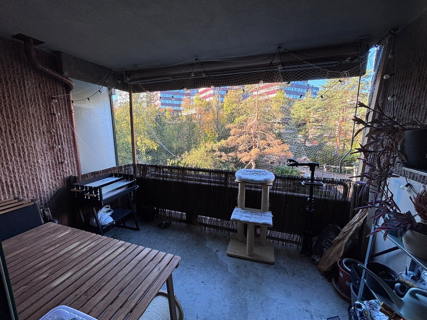 Appartement de 2 ½ pièces