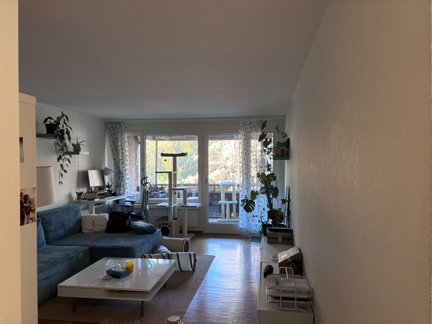 Appartement de 2 ½ pièces