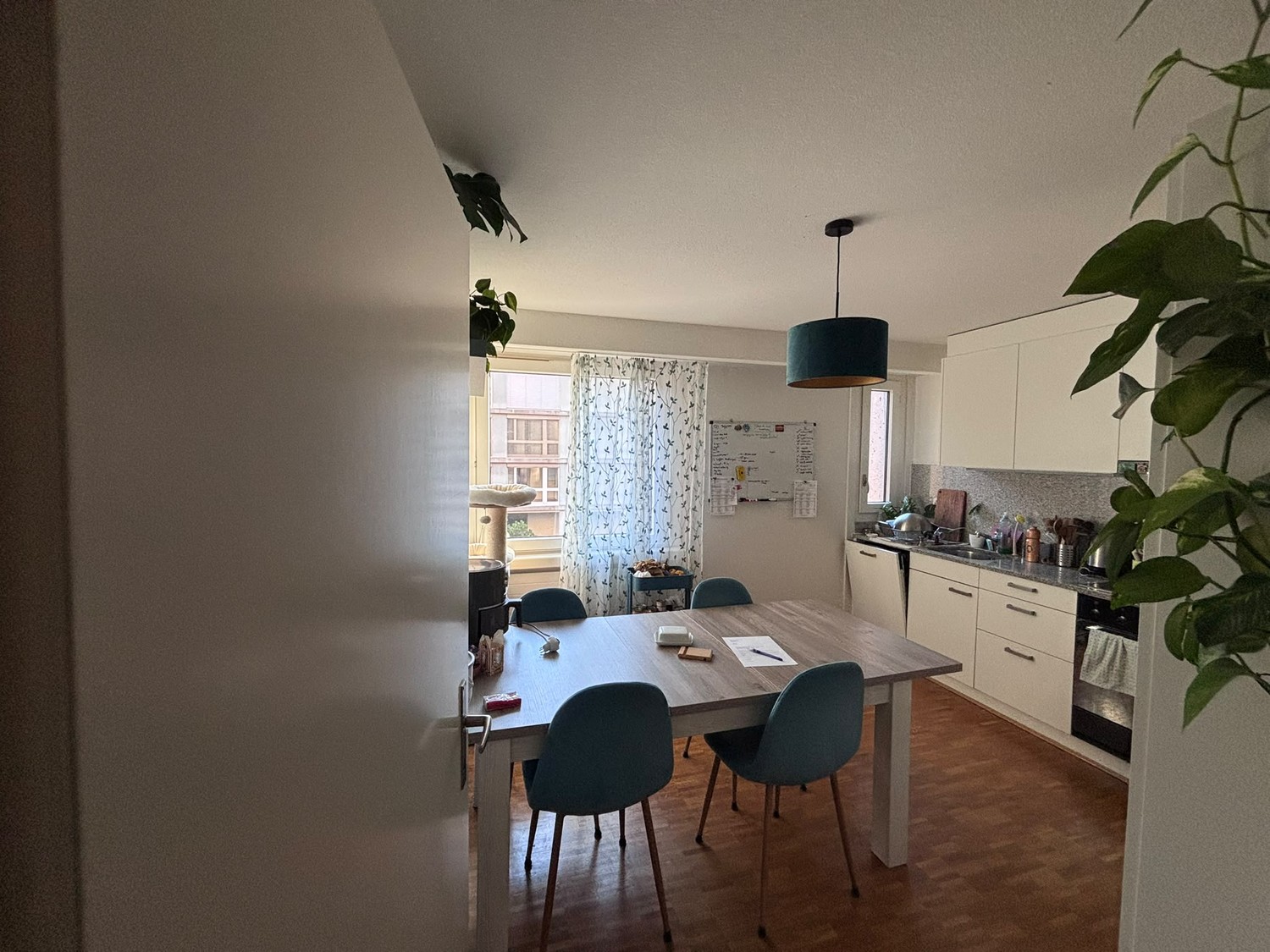 Appartement de 2 ½ pièces