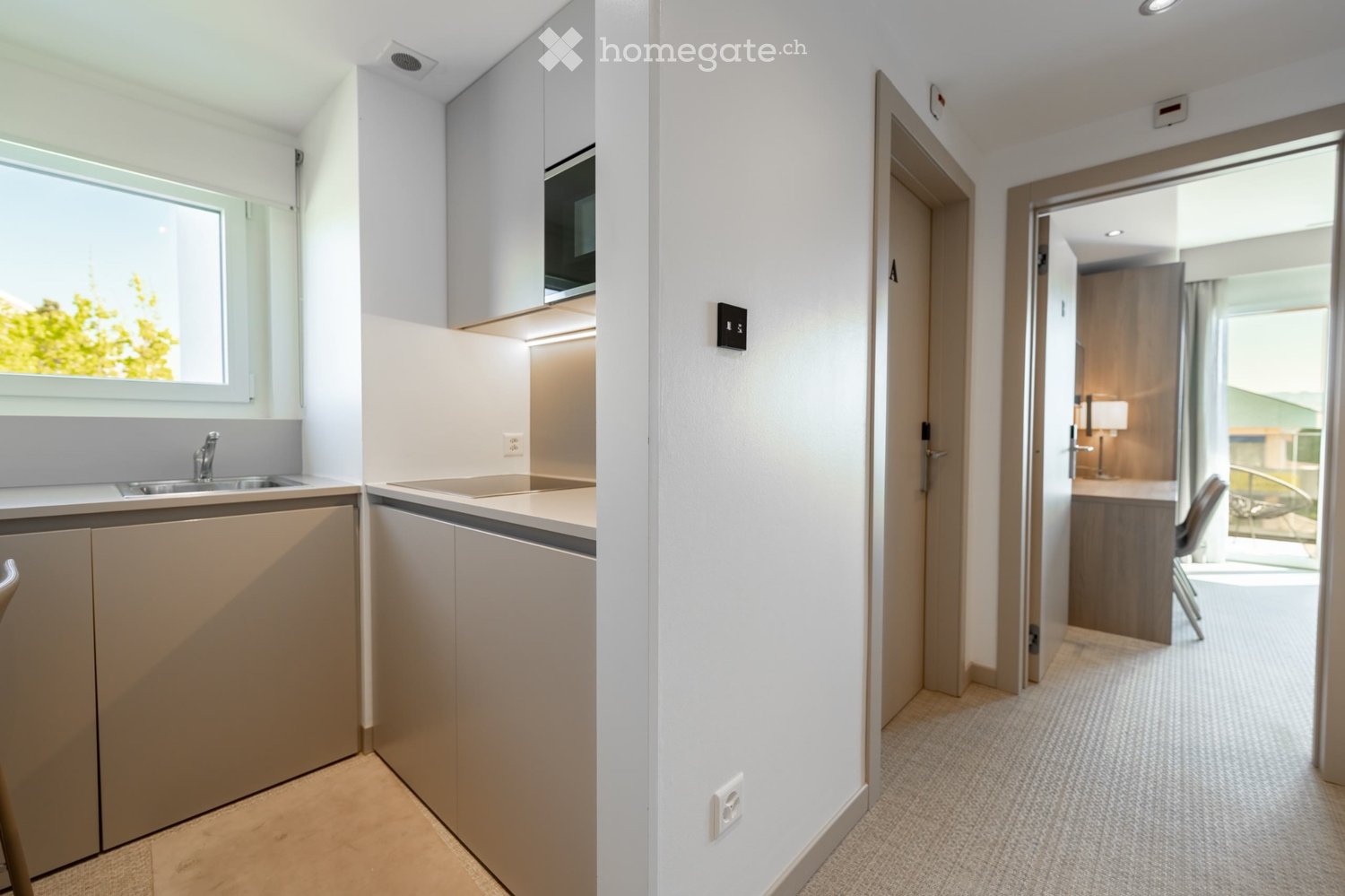 1 rooms apartment