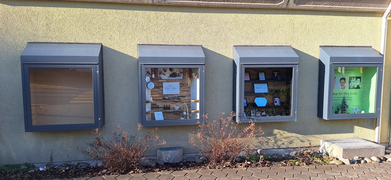 Display window