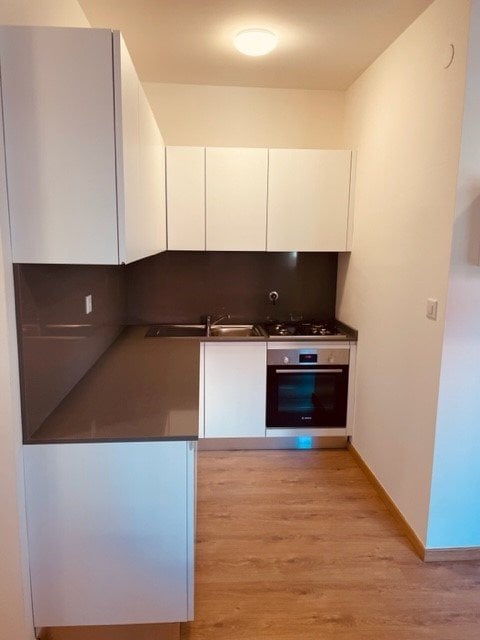 1 ½ rooms apartment, photo 4 sur 5