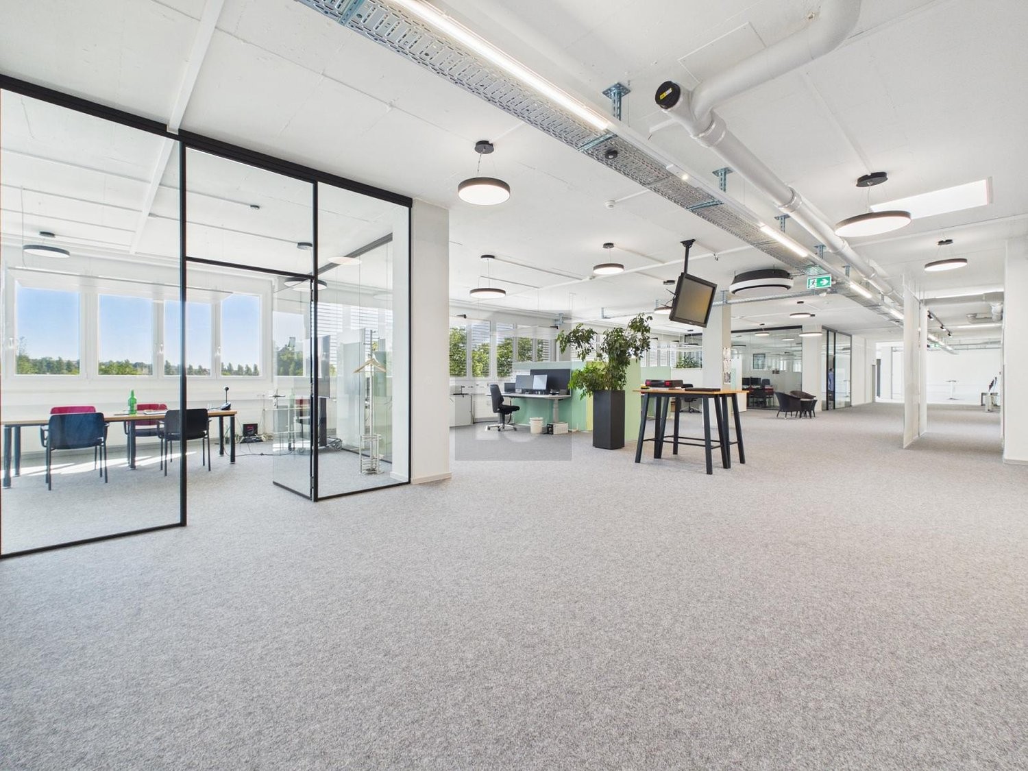 950m² office, photo 3 of 4