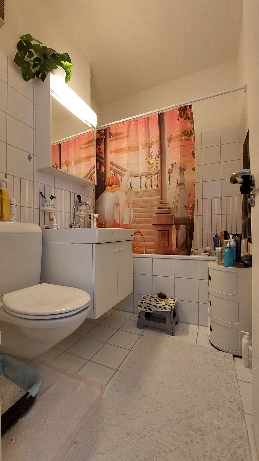 2 ½ rooms apartment, photo 4 of 5