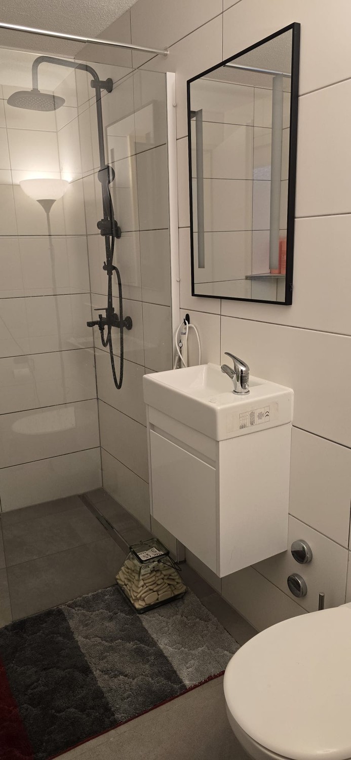 Appartement de 1 ½ pièces