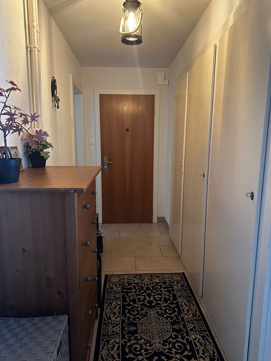 2 ½ Zimmer-Wohnung