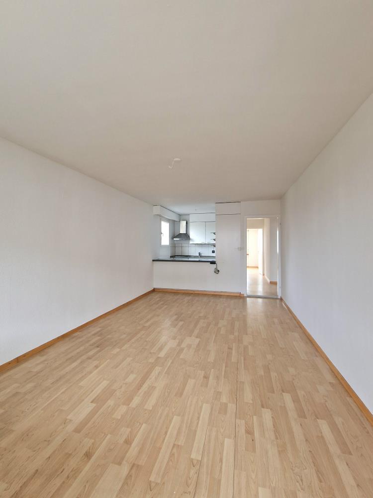 3 ½ rooms apartment (4)