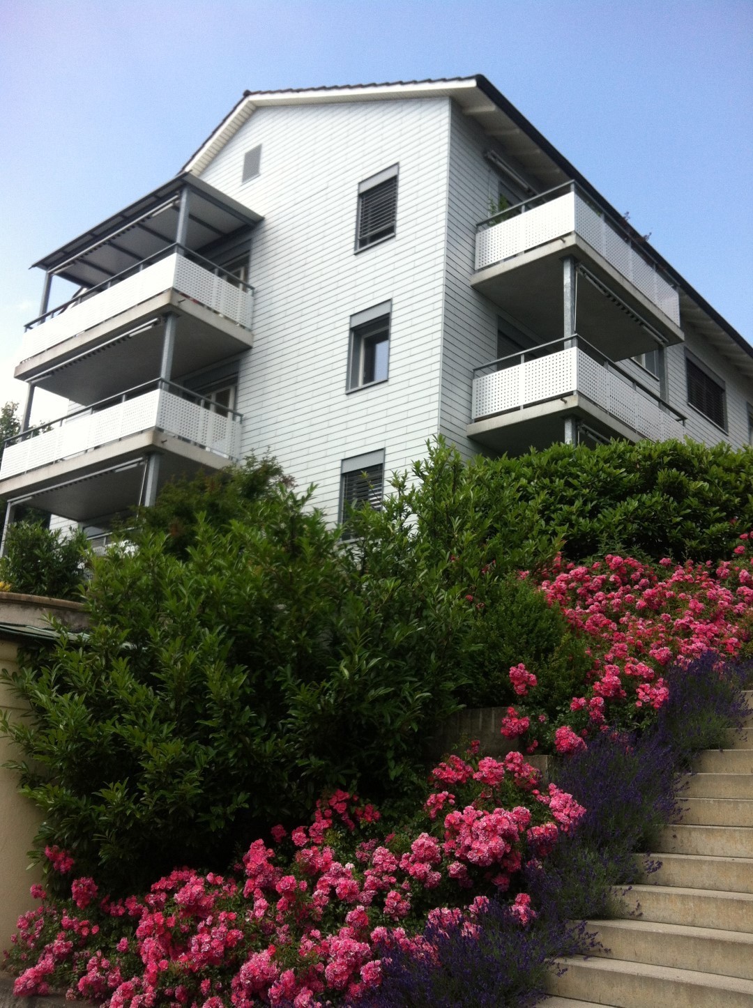 Room in a shared flat, photo 9 sur 10