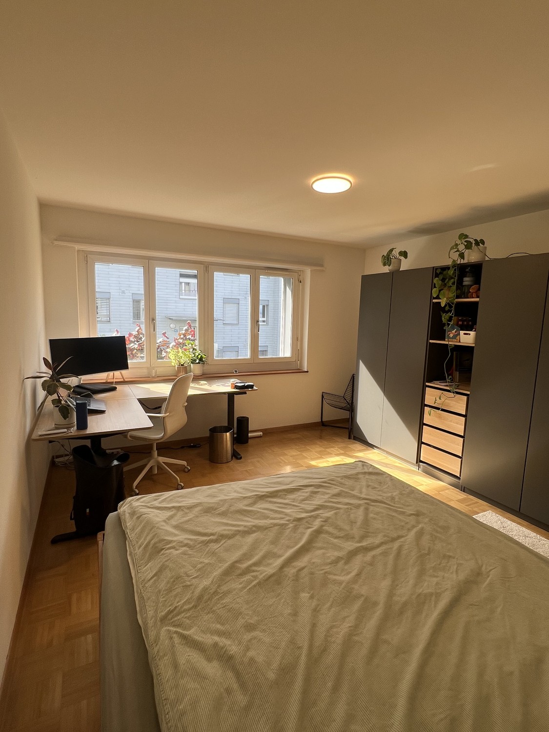 Room in a shared flat