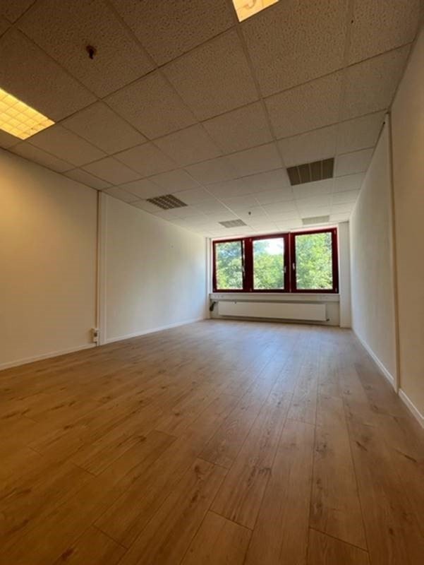 246m² office, photo 4 of 10