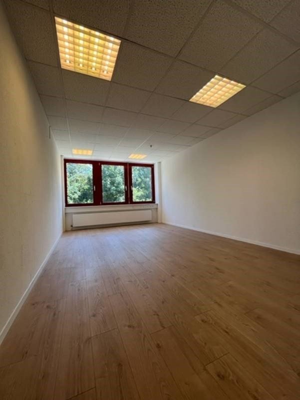 246m² office, photo 3 of 10
