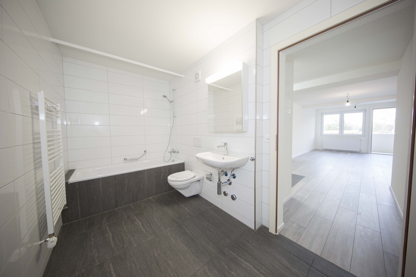 1 room apartment