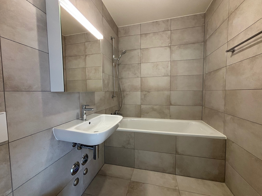 Appartamento 2 ½ locali