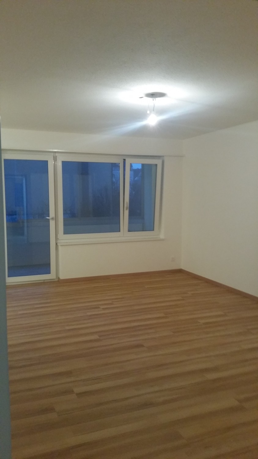 3 ½ room apartment