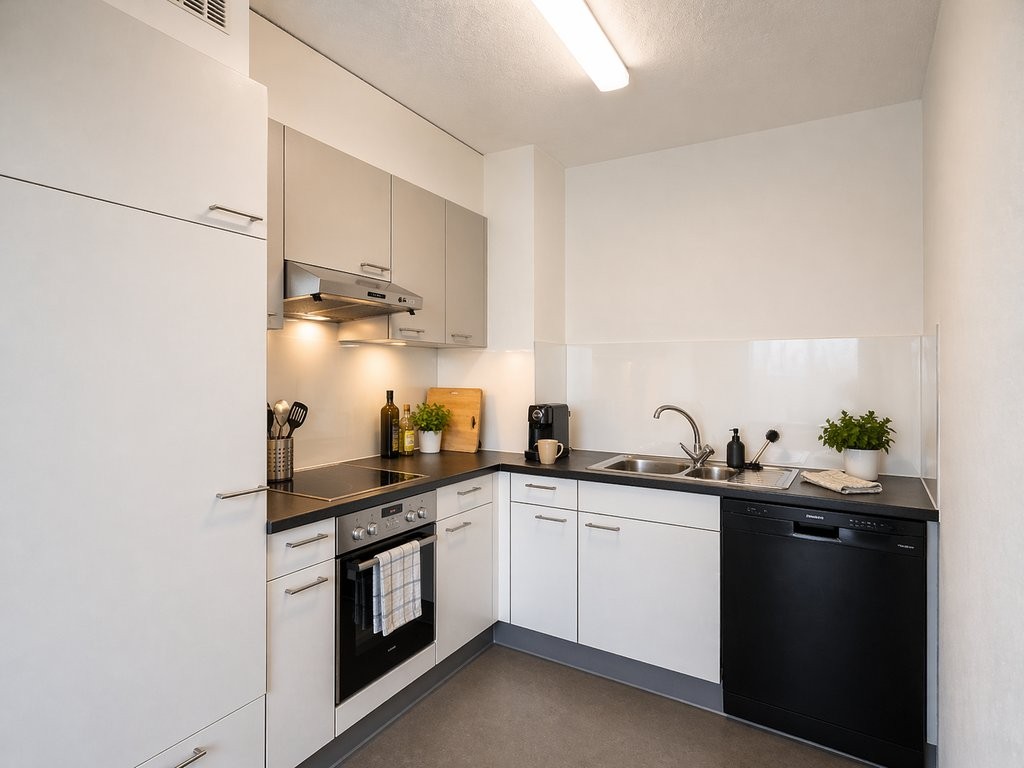 4 ½ room apartment