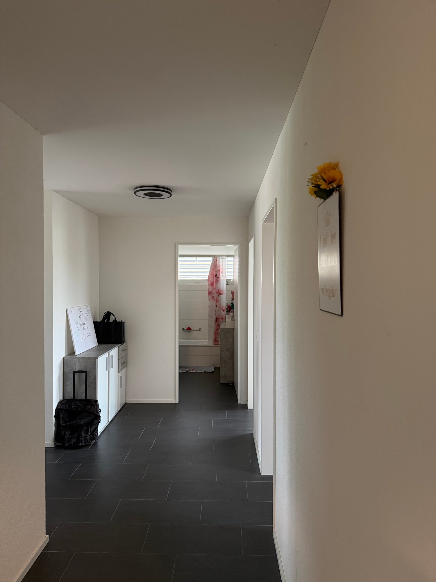 3 ½ rooms apartment, photo 4 of 9