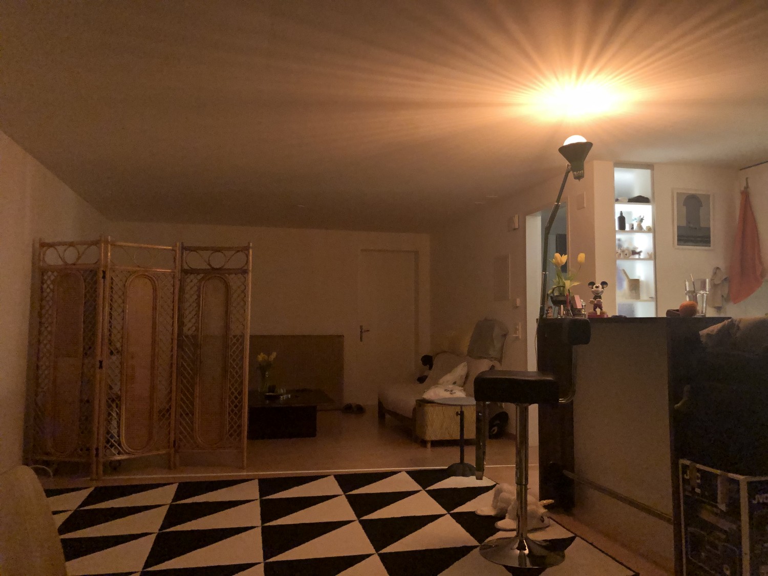 1 pièce appartement