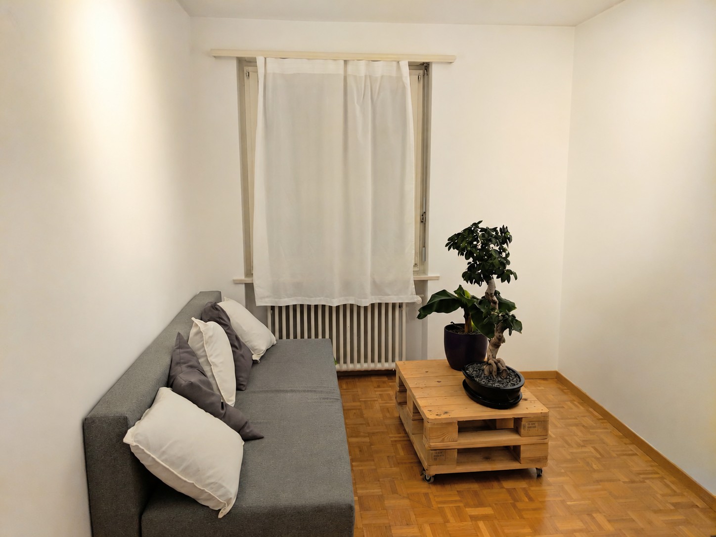 Room in a shared flat