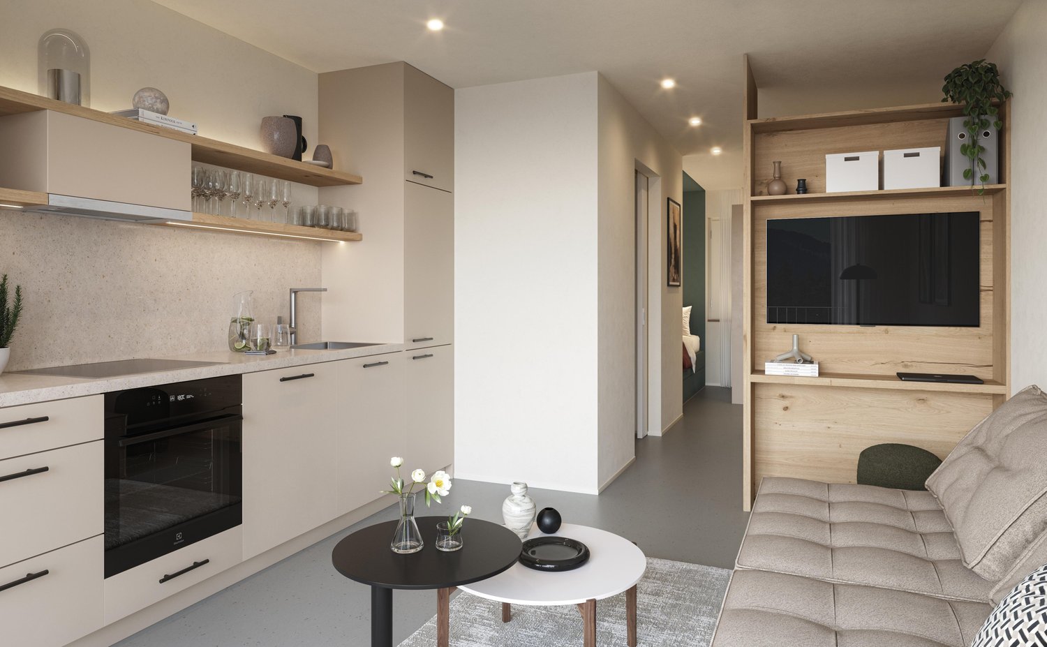 1 room apartment