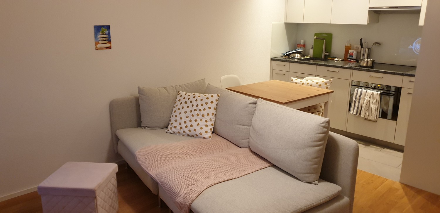 2 ½ rooms apartment