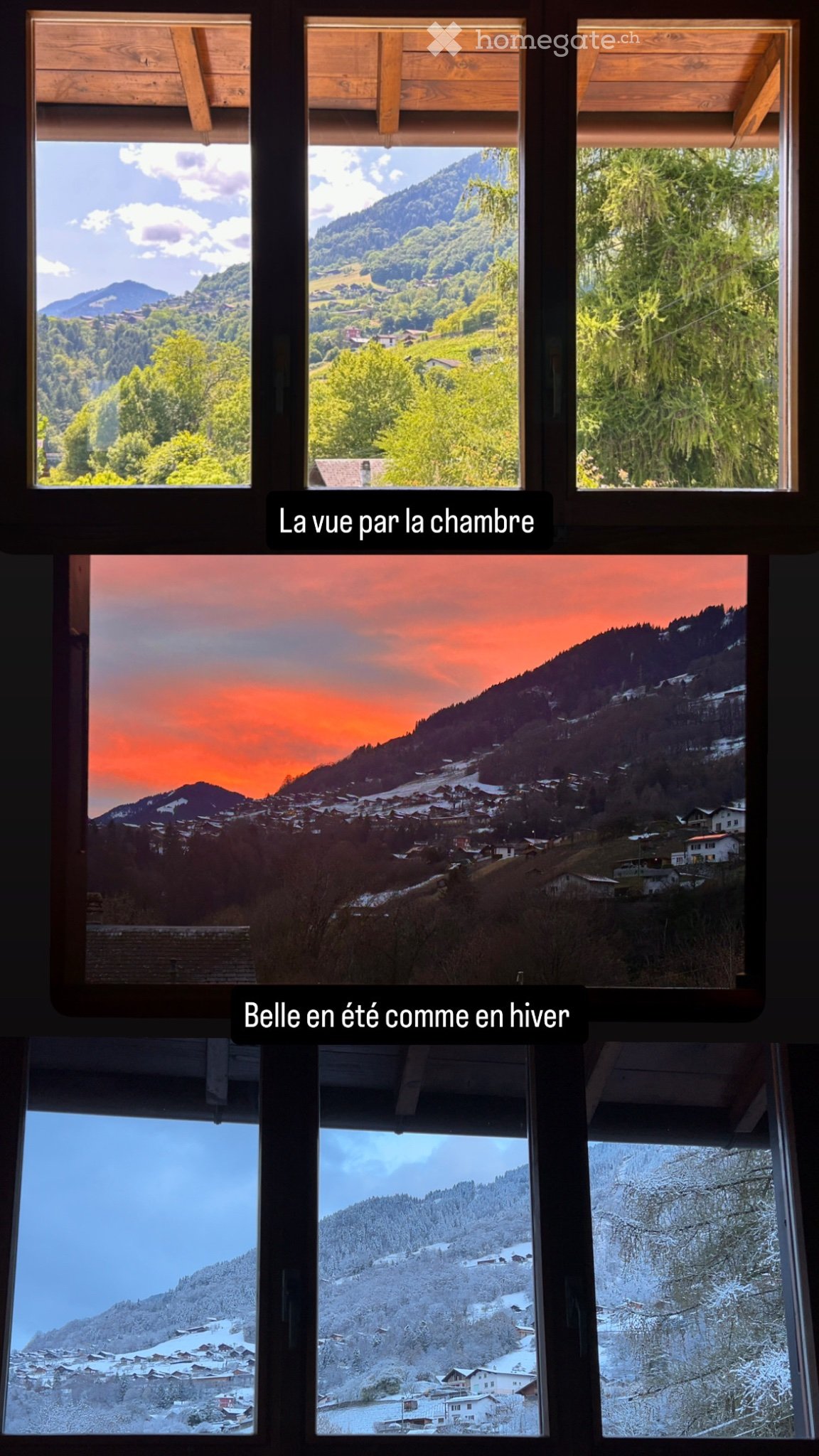 1 stanza camera singola