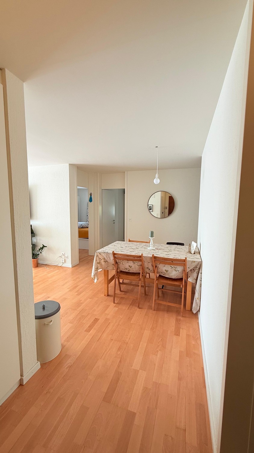 4 rooms apartment (2)