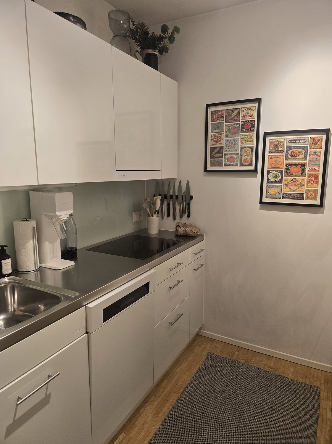 2 ½ rooms furnished flat, photo 5 of 8
