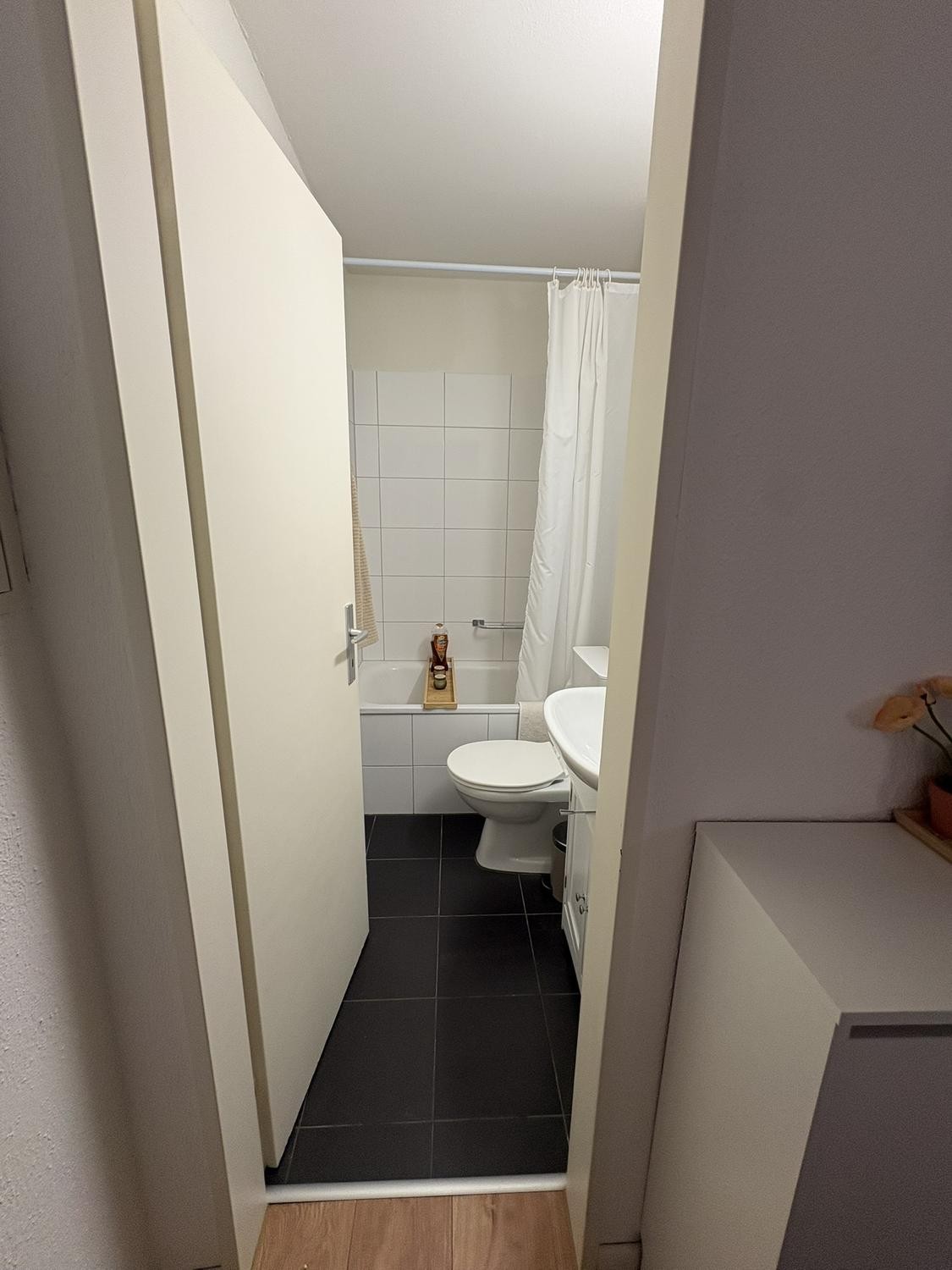 1 ½ room apartment, photo 6 of 6