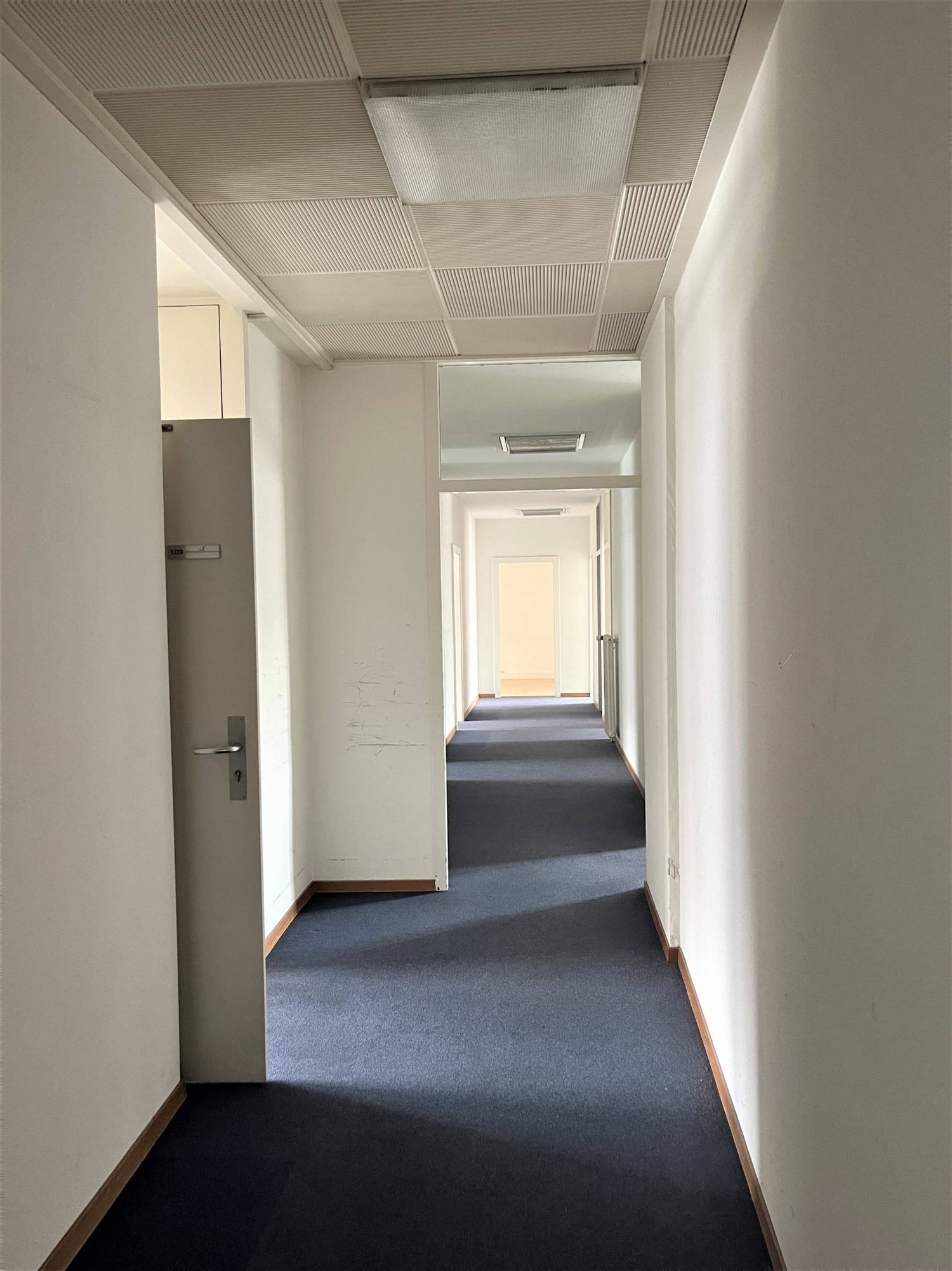 305m² office, photo 3 of 7