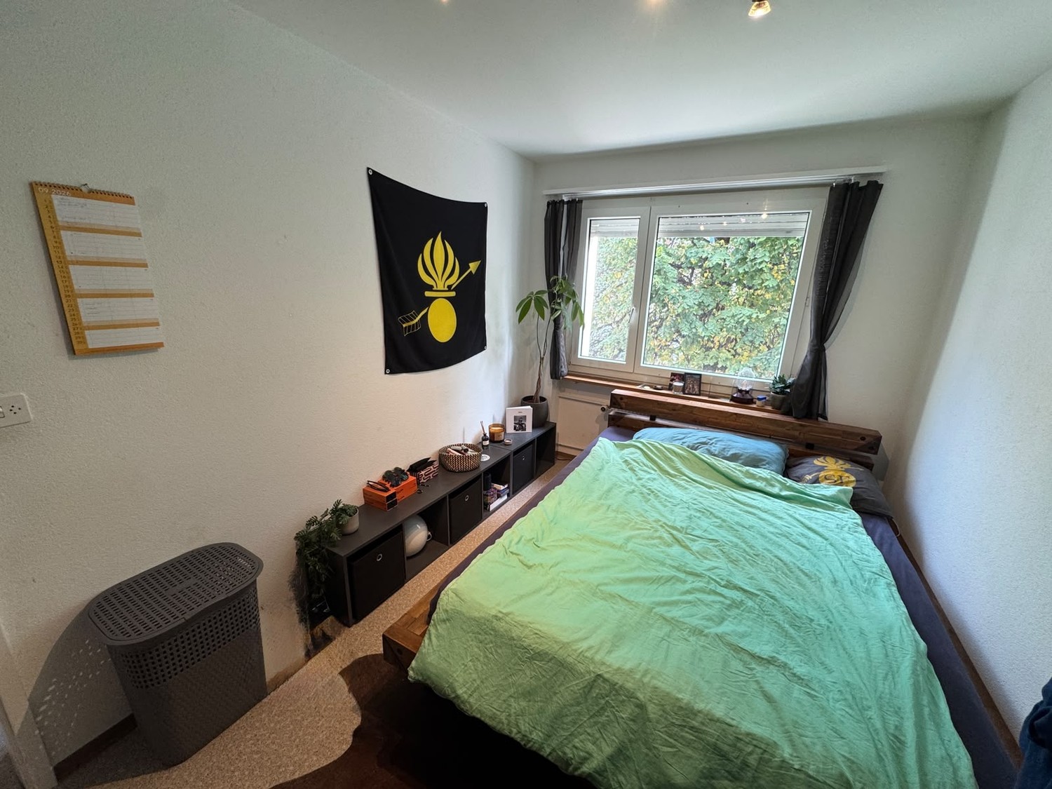 Room in a shared flat