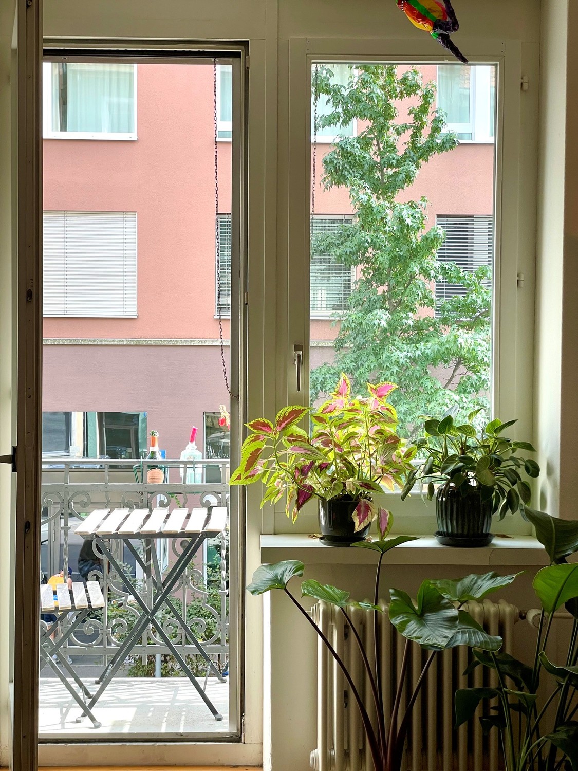 Room in a shared flat, photo 9 of 10