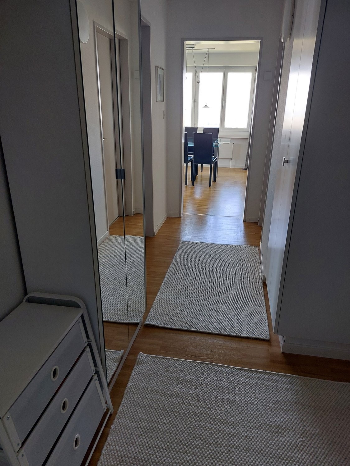 appartamento arredato di 2 ½ locali
