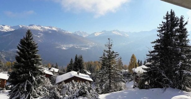 Appartamento di 3 ½ locali