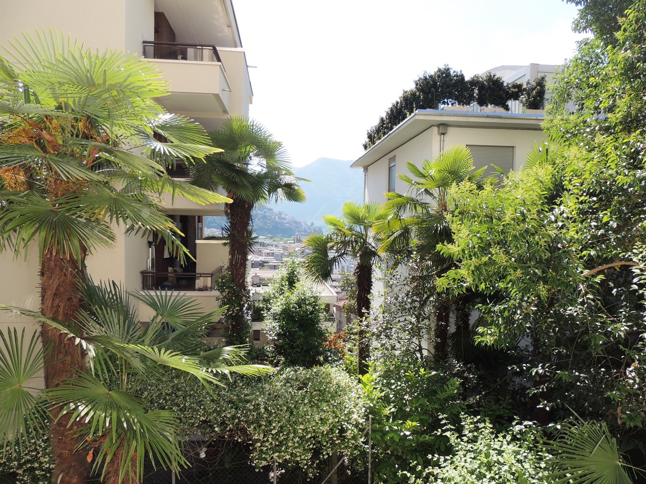 Monolocale di 1 ½ locali