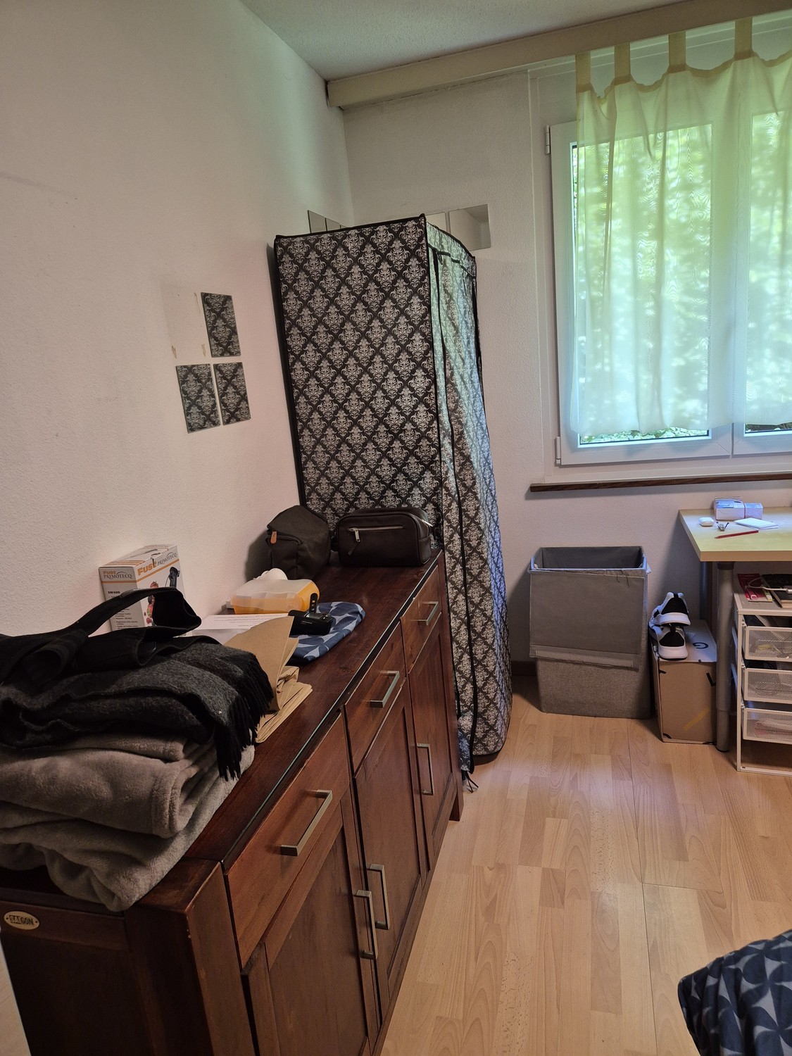 Room in a shared flat