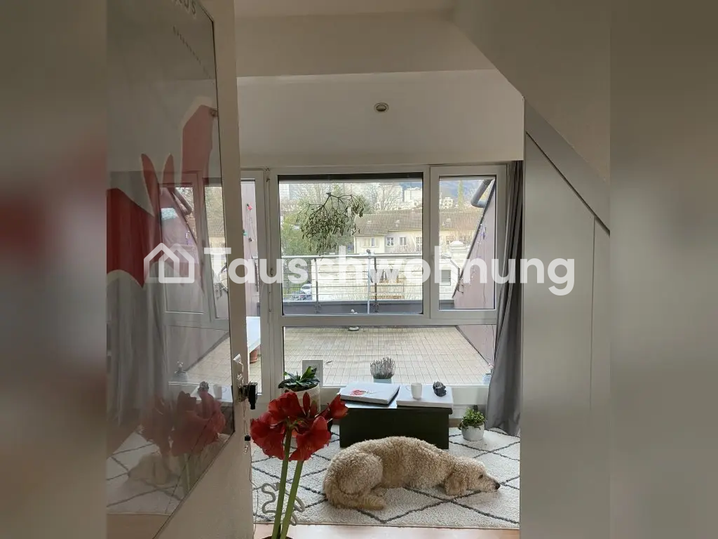 2 rooms apartment (7)