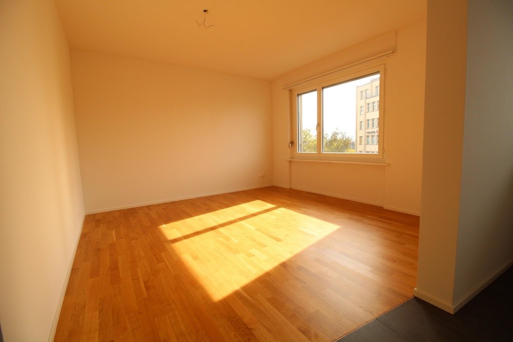 3 ½ rooms apartment (3)