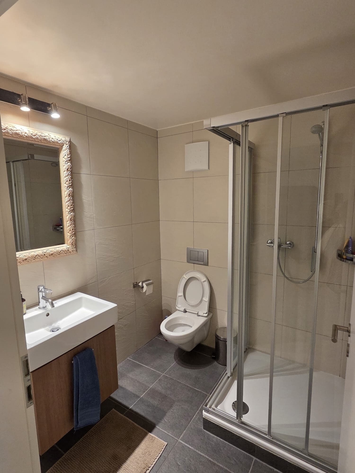 4 ½ rooms apartment