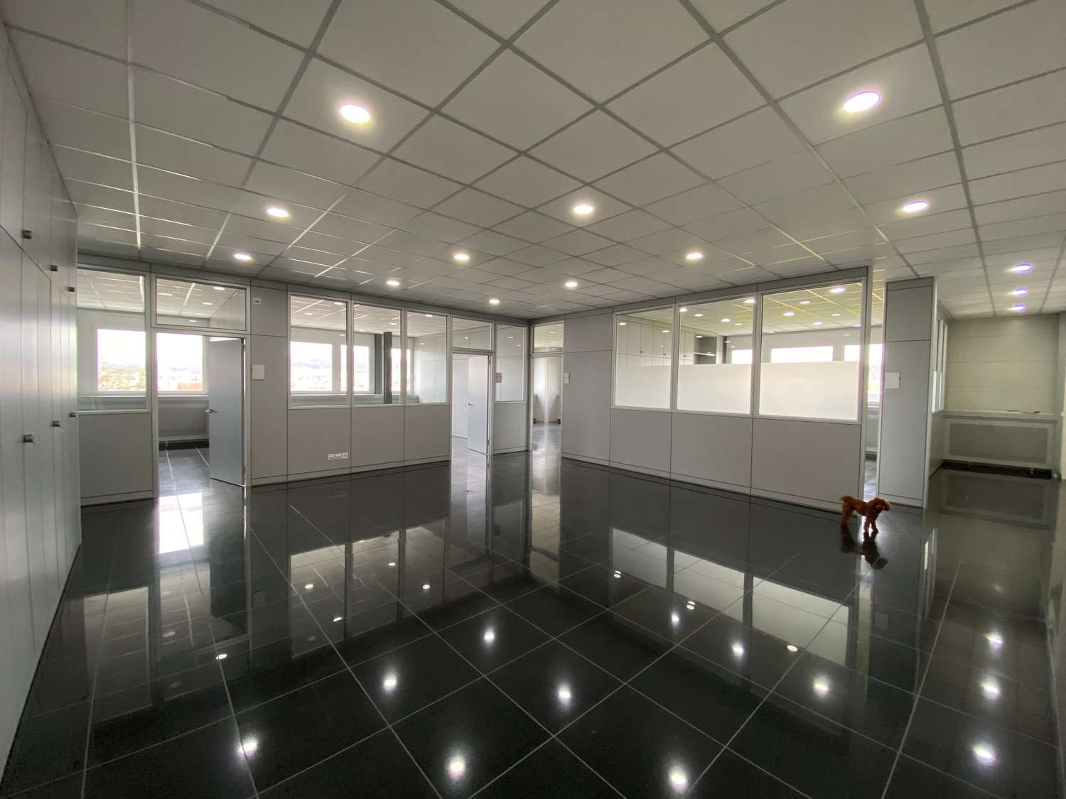 713m² commercial, photo 6 of 10