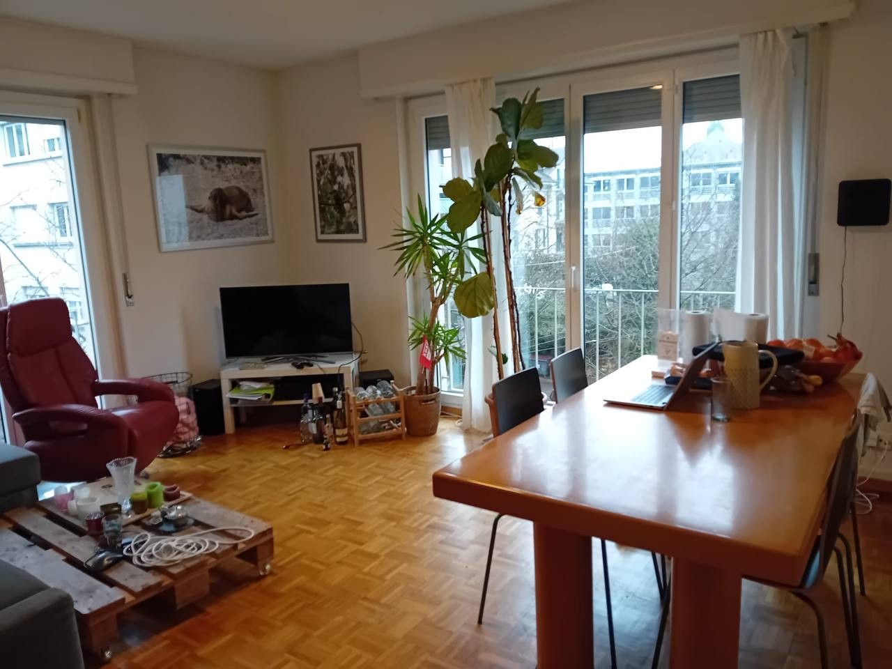 Room in a shared flat