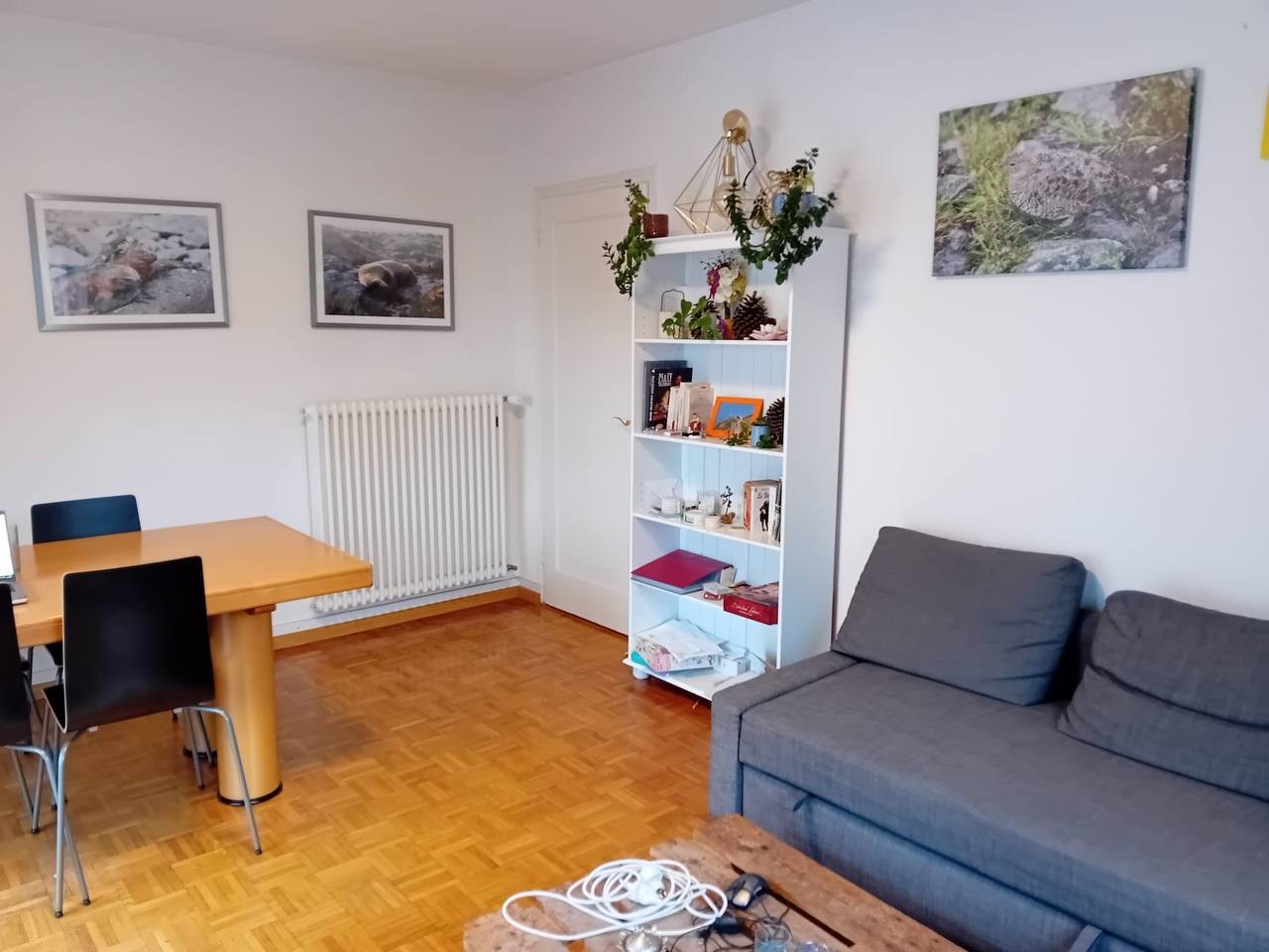 Room in a shared flat