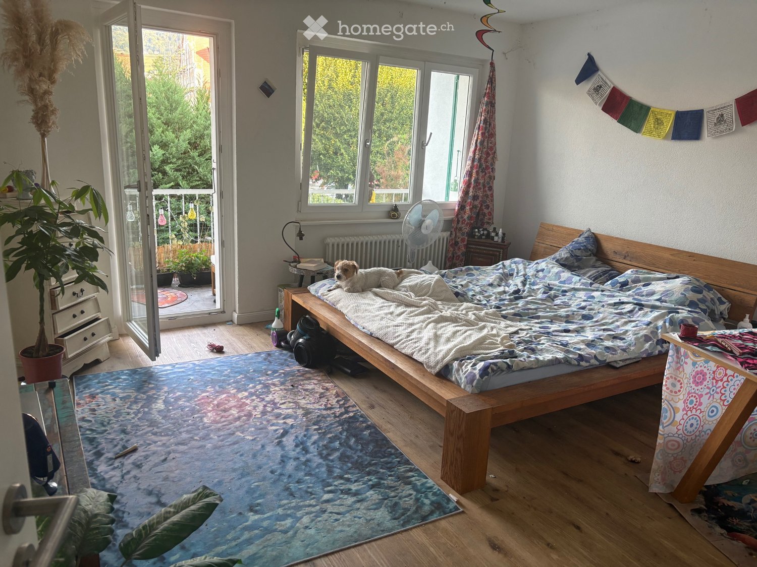 1-Zimmer-Apartment
